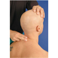 Palpation Techniques 73 Posterior Palpation Techniques Thieme Teaching Assistant